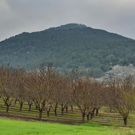 Pearl Of The Valley Hotel Kfar Tavor 외부 사진