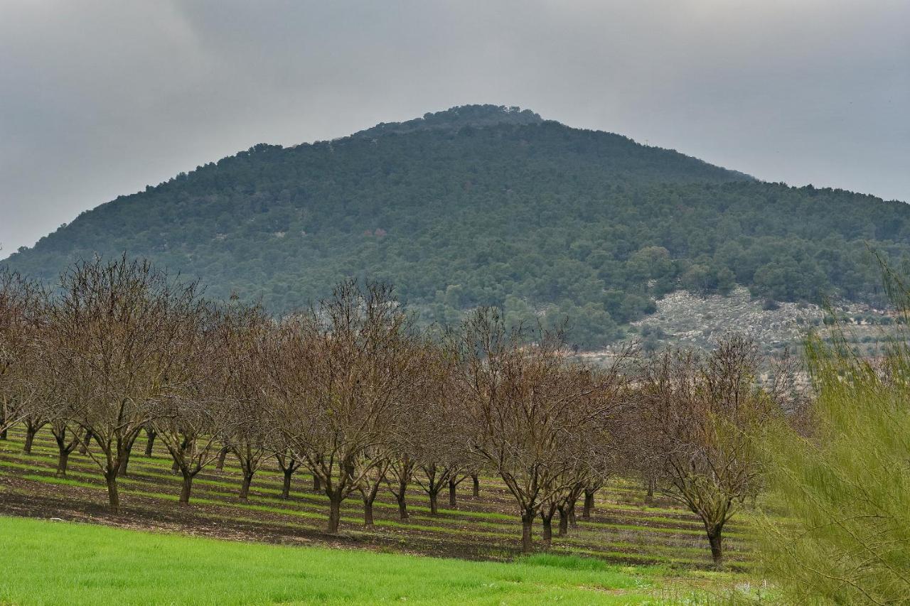 Pearl Of The Valley Hotel Kfar Tavor 외부 사진